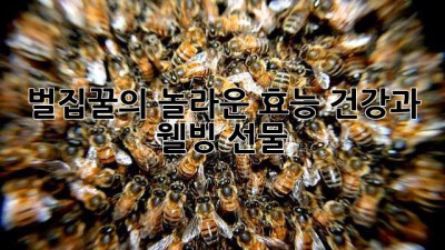 벌집꿀의 놀라운 효능: 건강과 웰빙 선물