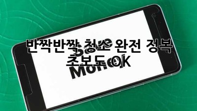✨반짝반짝✨ 청소 완전 정복! 초보도 OK👌