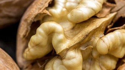 놓치면 후회! ✨ 국내산 햇피칸 솔직 후기 & 꿀팁 대방출